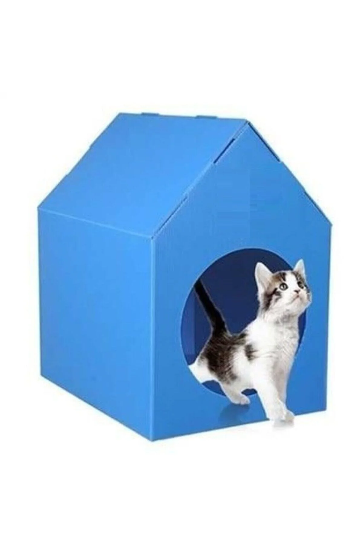 Kedi Evi