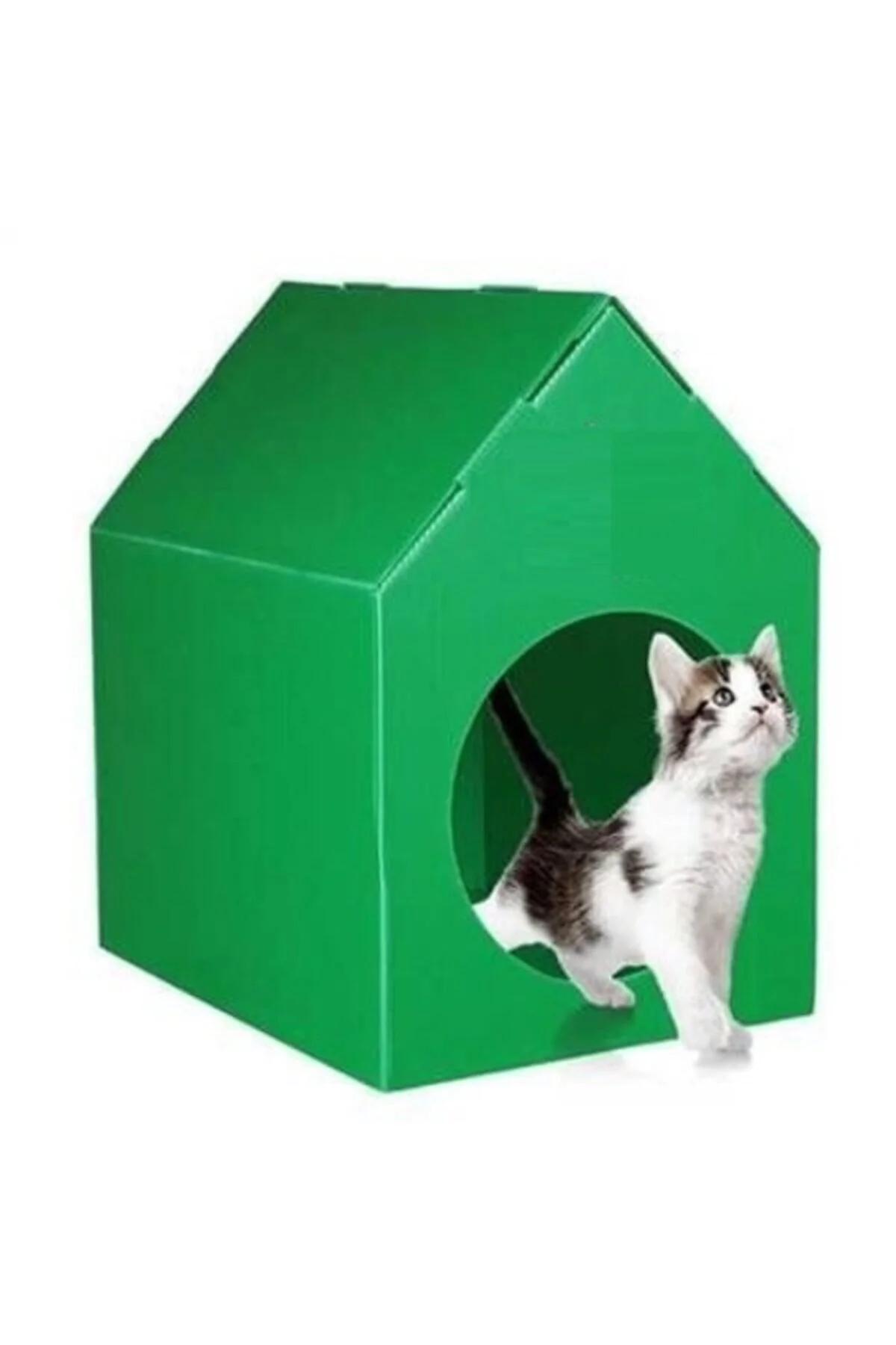 Kedi Evi
