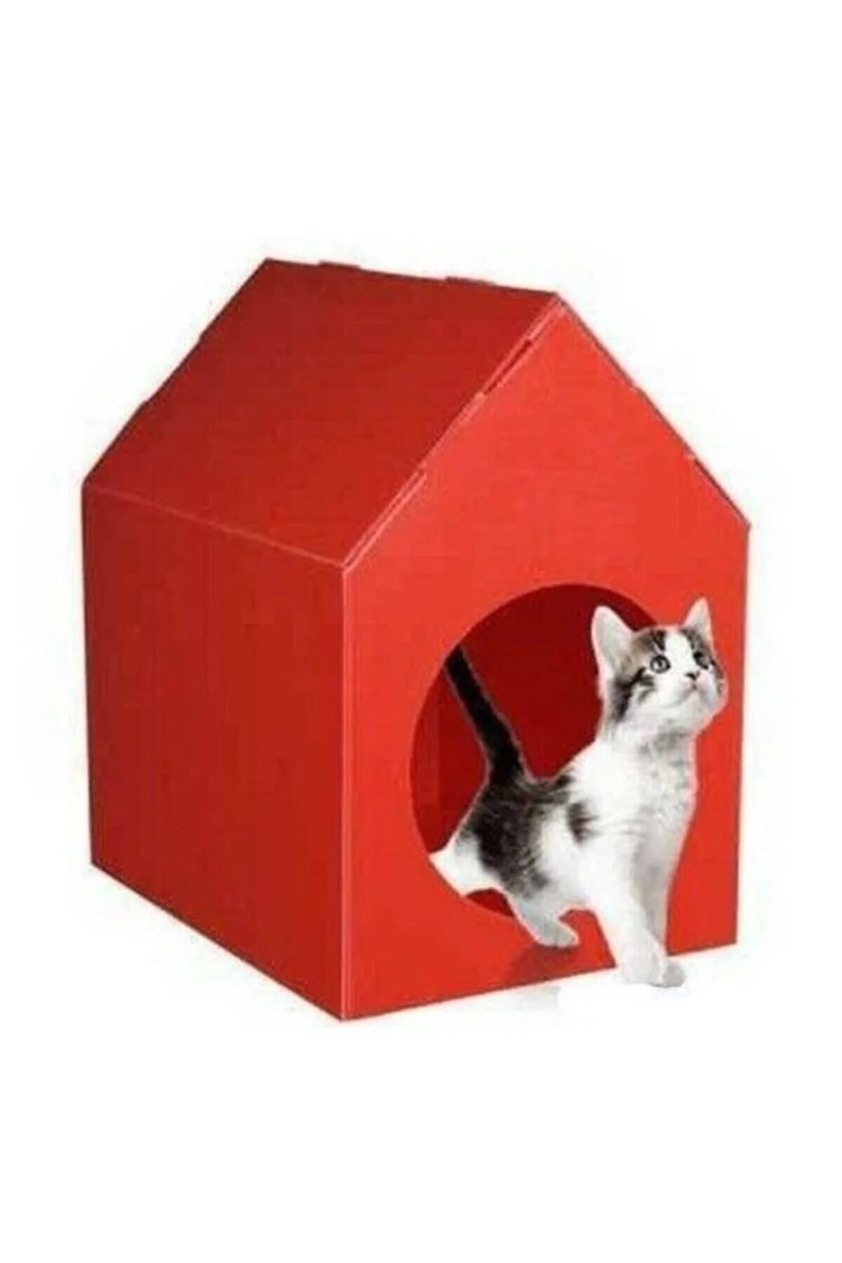 Kedi Evi