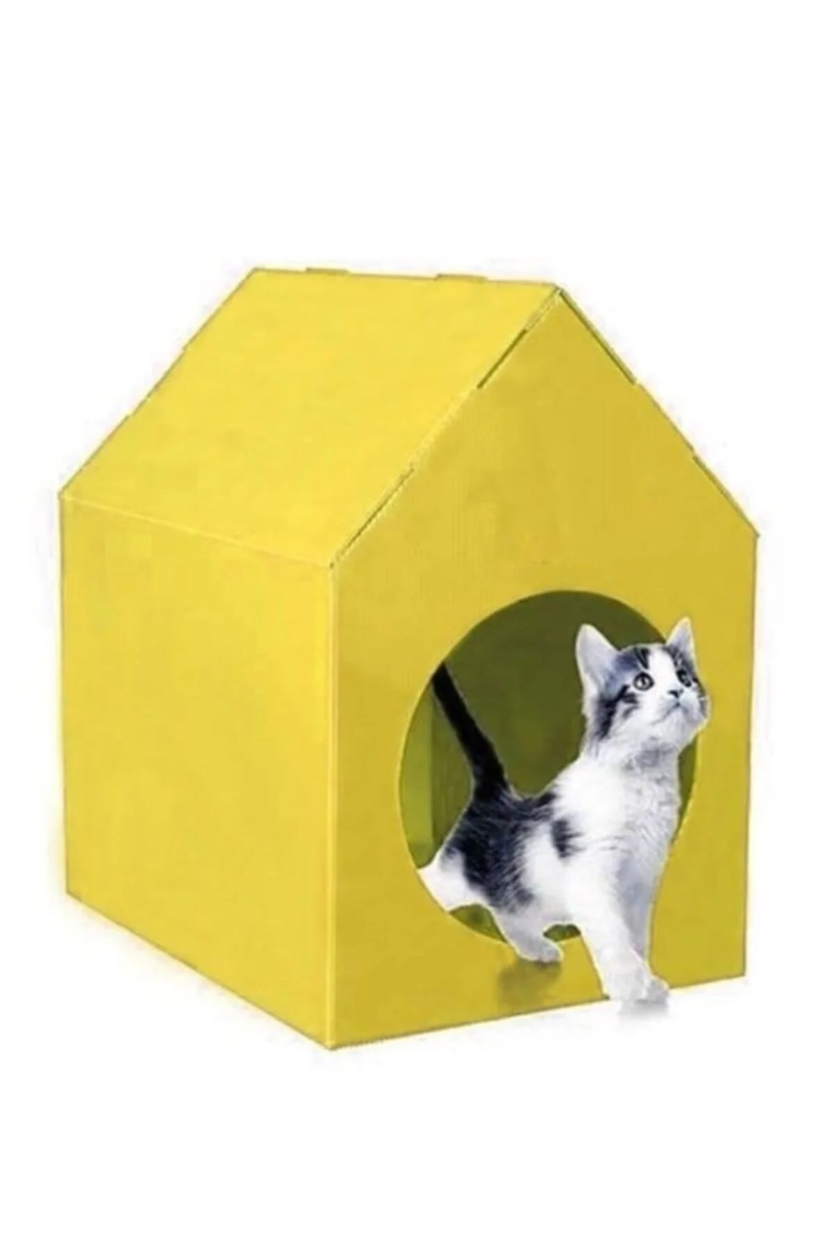 Kedi Evi